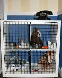 Diy Play Pet Kennel Get All Your Stuffies Ready For Pet Care Fun Kids Vet Clinic Stuffed Animal Storage Kids Playroom