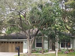 Jerry seinfeld 'felt so at home' reopening gotham comedy club. French Country Curb Appeal Makeover On My Client S Meh Stucco House Sanctuary