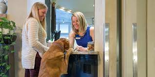 best pet-friendly hotels in the us 2021 on pet friendly lodging san francisco