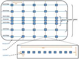 Image result for Oreophyton falcatum