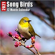 🥳learn how to make this super easy and cute 2021 mini desk calendar. Mini Calendar 2021 Song Birds Cute Song Bird Photos Monthly Small Calendar With Inspirational Quotes Each Month Calendars Song Birdz 9798666864616 Amazon Com Books