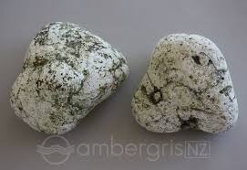 Well you're in luck, because here they come. How To Identify Ambergris Ambergris Shape Colour Size And Smell Ambergris Test