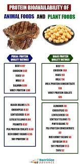 Pin On Dietary Protein
