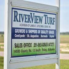 Maybe you would like to learn more about one of these? Riverview Turf Home Facebook