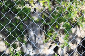Our fencing products are made from either galvanized steel or vinyl, perfect for a broad range of applications. Steel Mesh Blocked Trees Rocks And Natural The Cage And View Of The Nature Stock Photo Picture And Royalty Free Image Image 87702879