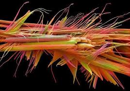 Electron Microscopy Of A Caffeine Molecule With Colors Added Microscopic Photography Scanning Electron Microscope Science Images