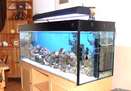 Maybe you would like to learn more about one of these? Jalan Jalan Ke Pasar Ikan Aquarium Air Laut Depok Satu Aquarium Warna Lautan