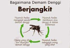 Lima mangsa diserang anjing yang disyaki positif rabies 3. Bahasaku Global Bangsaku Glokal Nyamuk Aedes Membiak Cepat Semasa Cuaca Panas
