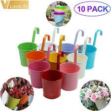Large plants for instant impact. 10pcs Large Hanging Metal Flower Pot Colorful Buckets Garden Home Garden Accessories Flower Pot With Hook Spring Decoration Party Diy Decorations Aliexpress