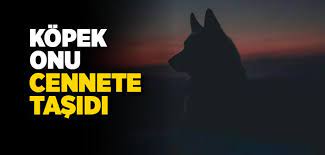 kopege su verdigi icin cennete giren gunahkar kadin islam ve ihsan