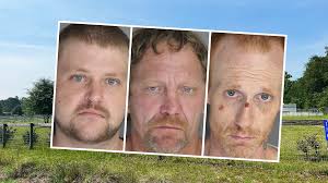 3 charged, 1 sought after remains found in Windsor