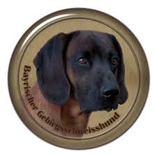 Maybe you would like to learn more about one of these? Www Alldogstickers Com Media Catalog Product Ca