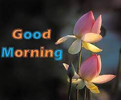 Good morning images quotes wallpapers for whatsapp top 100. Free Whatsapp Good Morning Images Download Good Morning Images Good Morning Wishes Quotes Good Morning Image Quotes