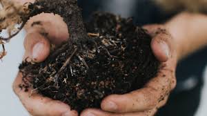 How to dispose of soil from garden. Where To Recycle Yard Waste In Philadelphia Year Round