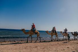 Picnic in the vicinity of the. Dec 25 2018 Dahab Travel Images Doubleliker Travel Photography Sharing Trip Com