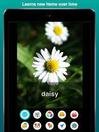 Simply point your phone at the object of interest and press any of the recognition buttons at the bottom of the screen to turn on the artificial intelligence. Aipoly Vision For Android Apk Download
