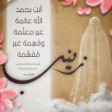 السيدة زينب أنت بحمد الله عالمة Girly Art Holy Quran Mehndi Designs