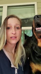 Our 1yr old baby. Love him, most of the time 😉