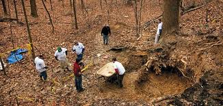 Ireland S Forgotten Sons Recovered Two Centuries Later History Smithsonian Magazine