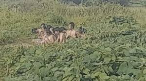 Berbicara tentang aliran sesat, aliran sesat adalah pandangan atau doktrin teologis atau keagamaan yang dianggap. Xn3sruqqfh7zjm