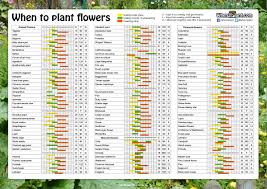 When To Plant Flowers Sowing Calendar Seeds Pots List 1