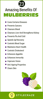 23 Amazing Benefits Of Mulberries Shahtoot For Skin Hair And Health Cancer Prevention Mulberry Benefits Anti Cancer