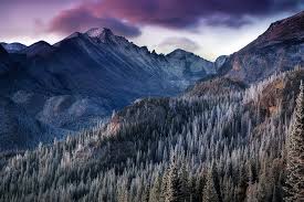 Its aroma is a pungent and sweet mix of grape and candies. Purple Mountains Majesty Ryan Wright Photography