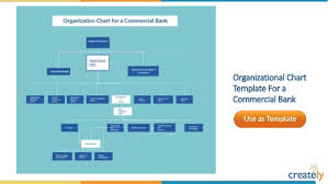 organizational chart templates by creately