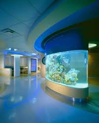 I Want A Huge Saltwater Aquarium Built Into My Wall Either That Or Have One Of The Walls Of My Hou Amazing Aquariums Saltwater Aquarium Saltwater Fish Tanks