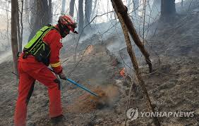 'bullets fired' at south korean dmz guard post. Forest Fire In S Korea Yonhap News Agency