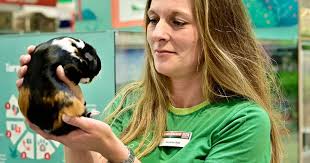 Krefeld: Ein Schaufenster für heimatlose Tiere