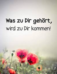 hoffentlich spruche spruche zitate zitate buddhismus