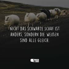 Nicht Das Schwarze Schaf Ist Anders Sondern Die Weissen Sind Alle Gleich