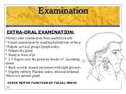 Image result for Submandibular Exam