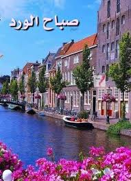 يأتي مع الصباح كل شيء أنيق كـ الشمس والعصافير واصحاب البسمه السم حه والكثير beautiful morning beautiful nature good morning arabic