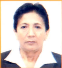 Directorio de Recursos Humanos afines a la CTI