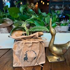 Meet The Drake Benedict