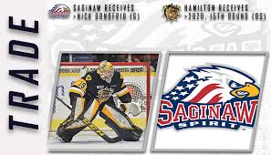 Spirit acquire Nick Donofrio from Hamilton