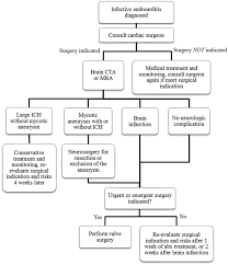Flowchart Of The Survey And Management Of Neurological