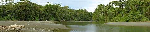 Those butterflies in your gut? Corcovado National Park Wikipedia