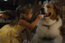 In a dog's journey, the sequel to the heartwarming global hit a dog's purpose, beloved dog bailey finds his new destiny and forms an unbreakable bond that will lead him, and the people he loves, to places they never imagined. A Dog S Journey Best Quotes I Ve Lived A Lot Of Lives As A Lot Of Different Dogs