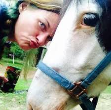 Kingdom Creatures Pony Rental