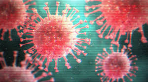 Aprender ingles sin estudiar, igual que aprendiste tu lengua materna. Coronavirus How To Self Isolate Bbc News