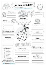 Ihr könnt meine ausmalbilder und arbeitsblätter sehr gerne mit verlinkung auf mich (@wortgewitzt.studio) bei instagram oder facebook posten. Marienkafer Kostenlose Arbeitsblatter