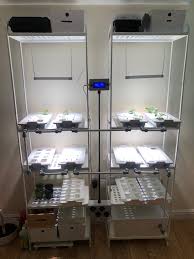 Pro organizers favor shelves no deeper than 14 inches to keep everything front and center. Https Imgur Com Gallery 3kxgb3z Daily Https Imgur Com Z29gla1 Jpg Their Latest Short Horror Kaboos Is Coming Soon On Their Youtube Channel And I Cant Wait To See It Copied From Their Facebook Rethinkermedia Kaboos Noun Farsi Arabic