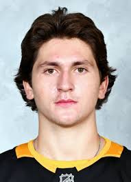 Tanner Howe Hockey Stats and Profile at hockeydb.com