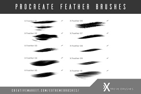 Procreate Feather Brushes Procreate Apple Pencil Birds Painting Brush