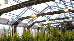 Forever flowering offers heating options for every greenhouse need. 30 X 80 Weatherport Growport Automated Light Deprivation Greenhouse In 4k Youtube