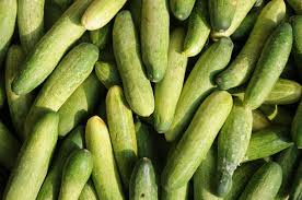 Image result for cucumbers