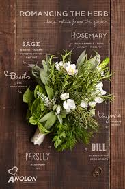 20 ideas for a unique wedding bouquet. Romancing The Herb The Symbolization And The Meaning Each Herb Makes For A Unique And Fragrant Wedding Day Bo Herb Wedding Nontraditional Wedding Herb Bouquet